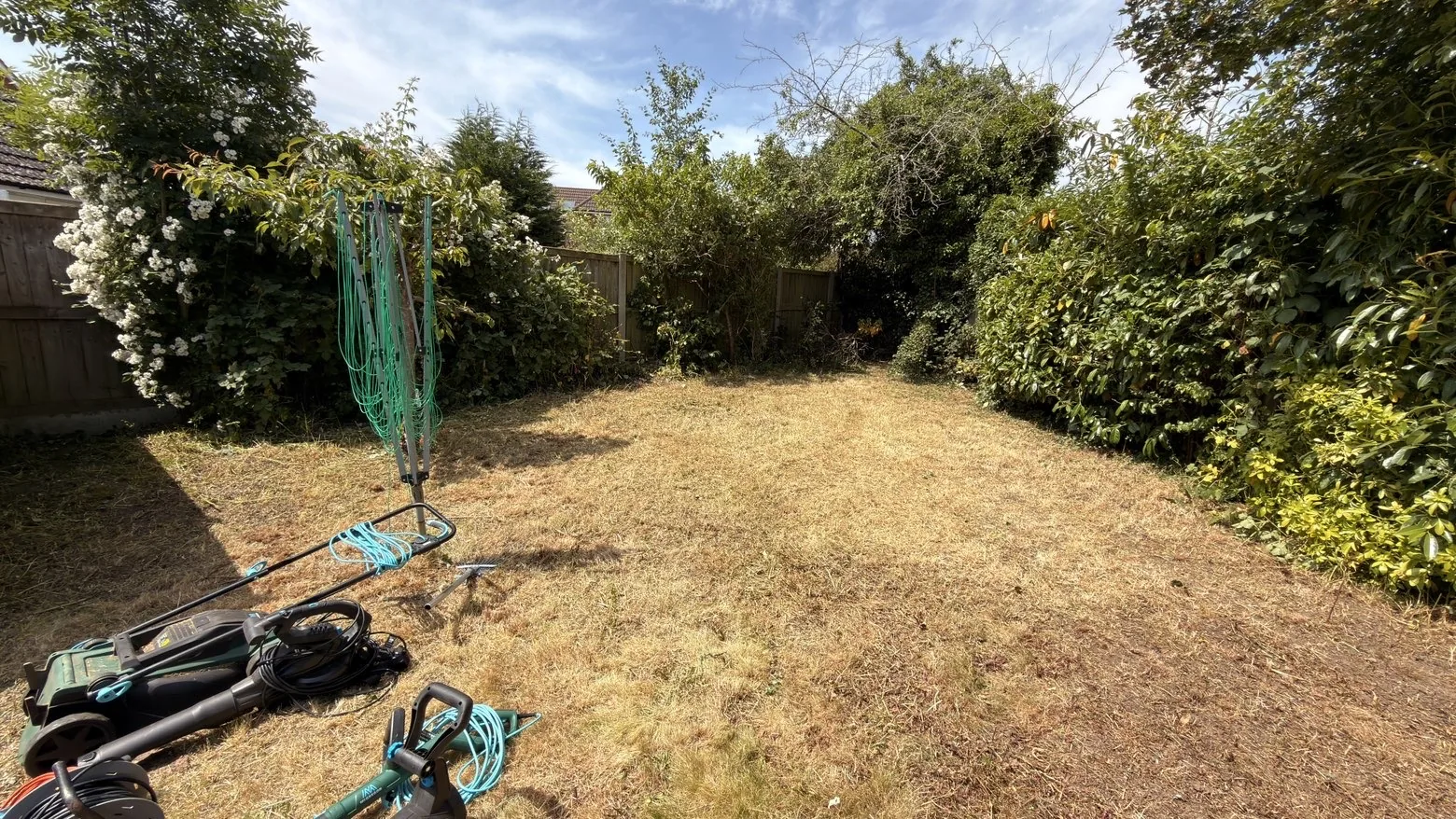 Long grass cut back and tidied