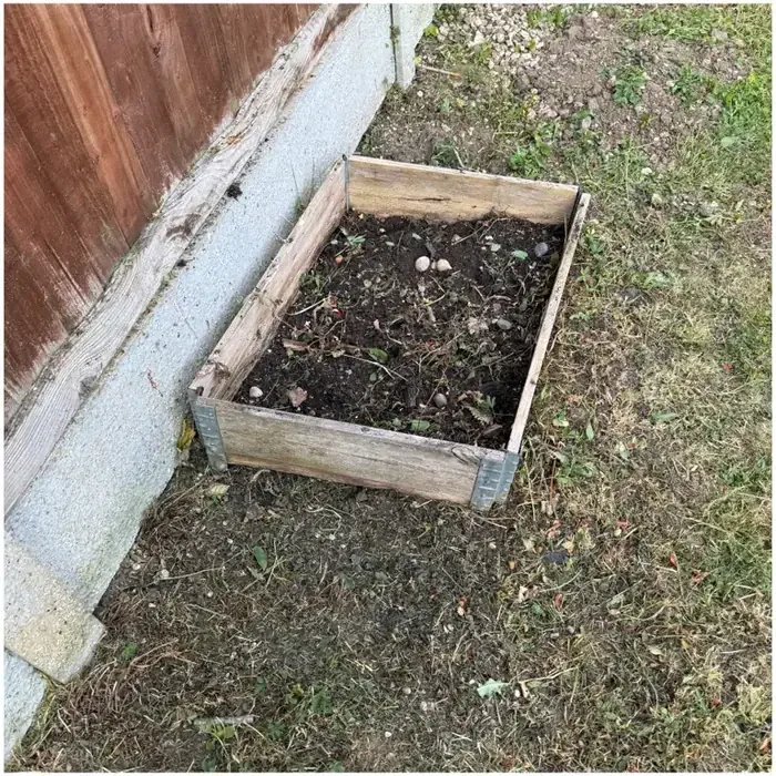 Planter cleared and tidied