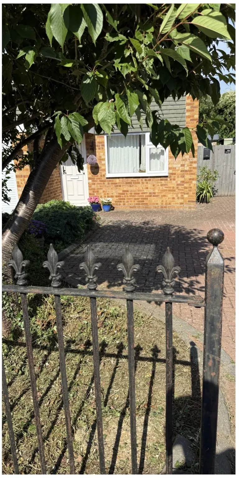 Front garden bed after weeds and overgrowth were removed