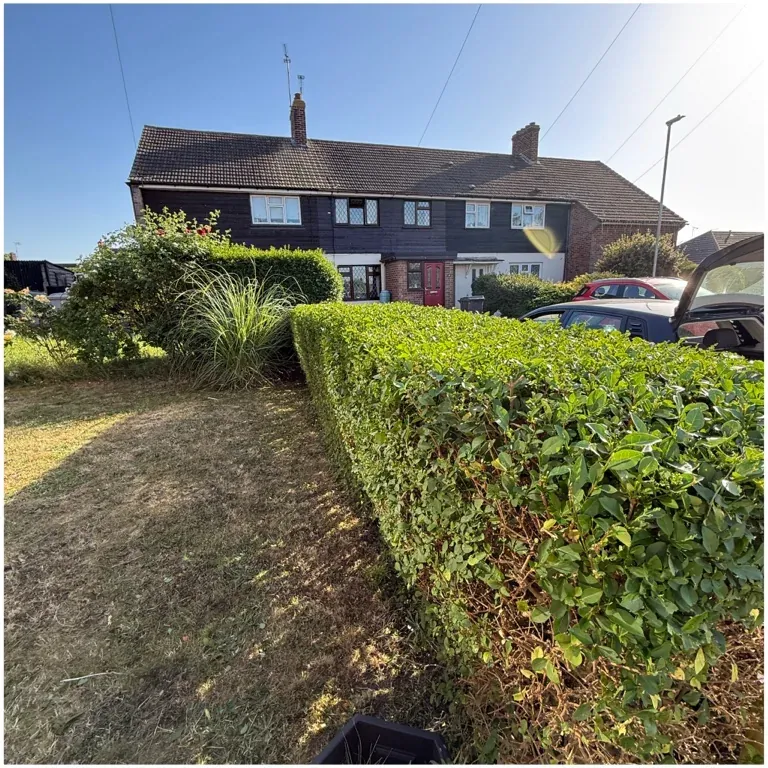 Front hedge after trimming and shaping