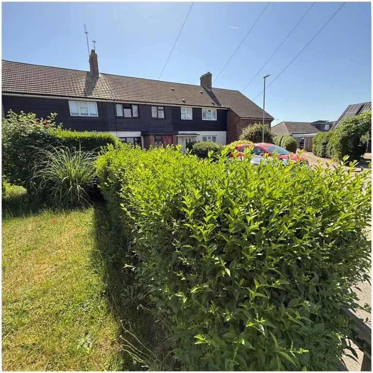 Front hedge before trimming