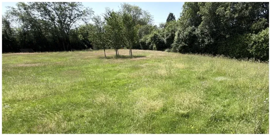 Large lawn before cutting with long grass across the garden