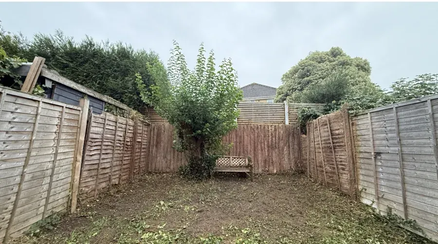 Back garden after ivy and overgrowth were cleared