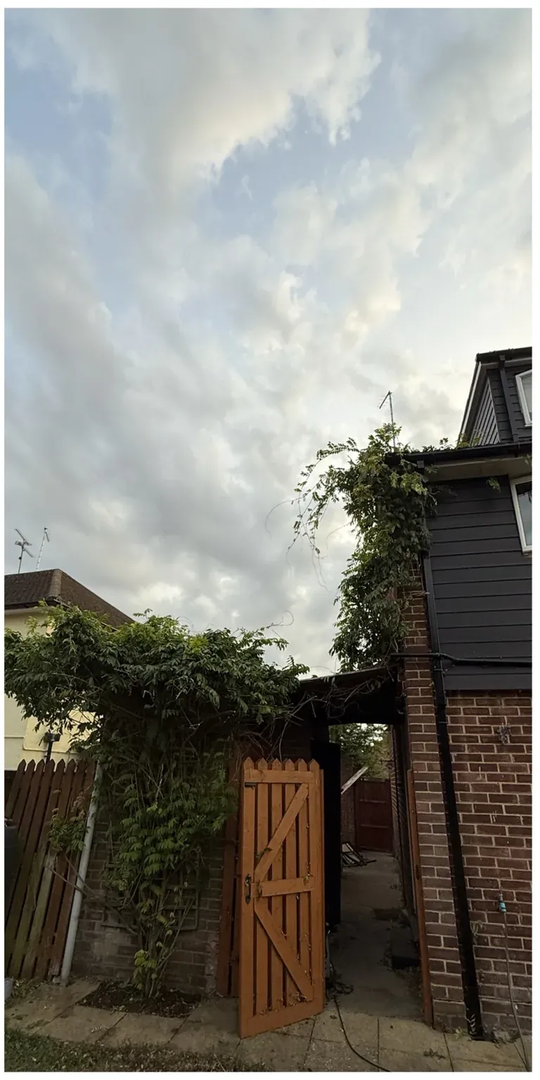 Garden entrance after climbing plants were cut back